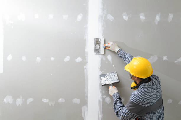 Best Basement Mold Removal  in Barrett, TX