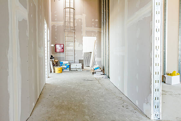 Best Mold-Related Health Consultation  in Barrett, TX