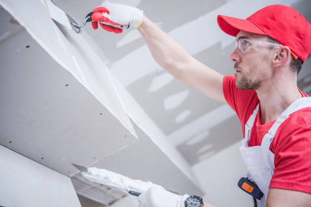 Professional Mold Removal in Barrett, TX